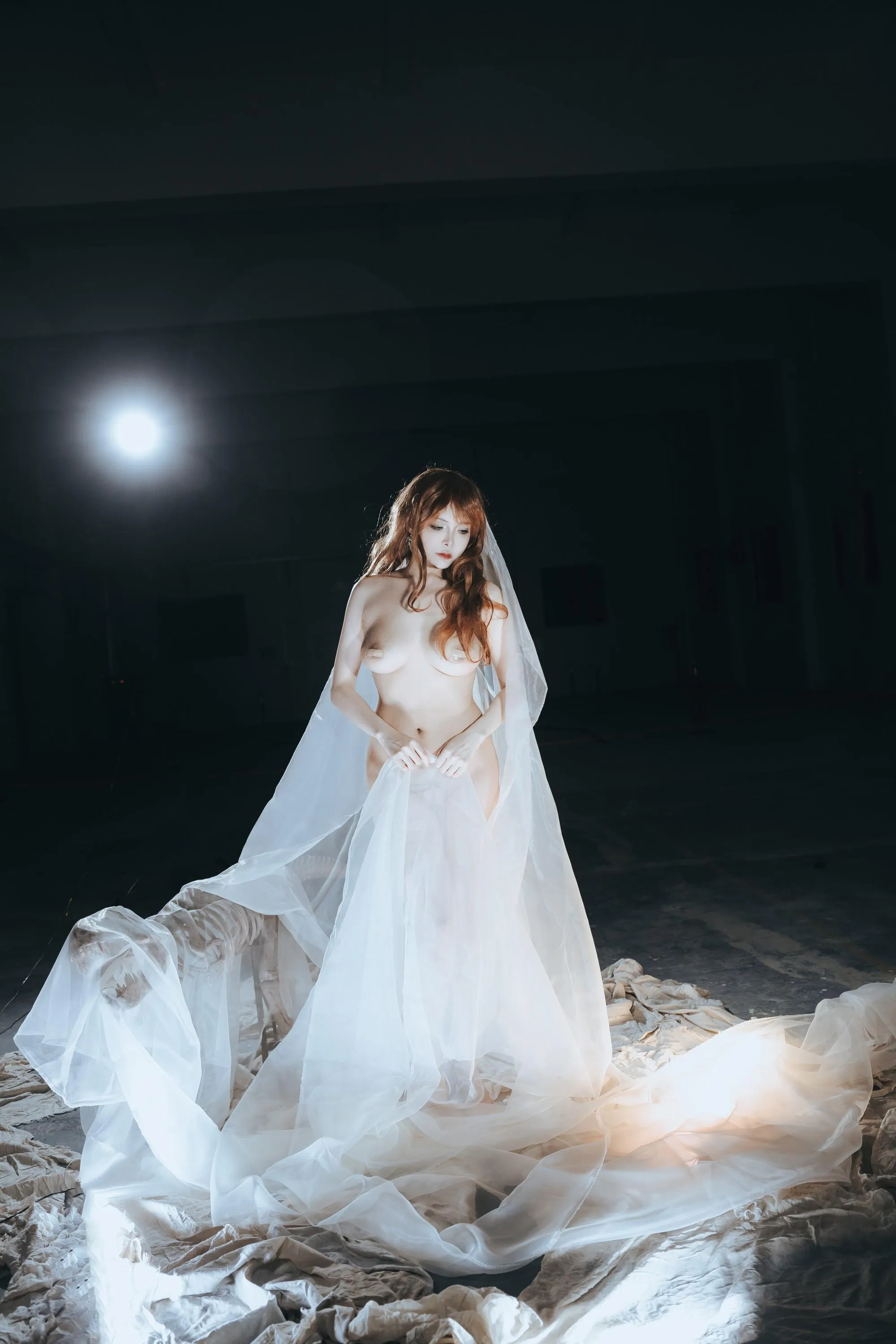 秋和柯基 – NO.099 纱 [66P]插图5